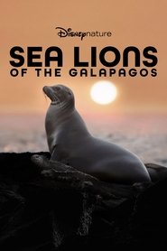 Sea Lions of the Galapagos (2025)