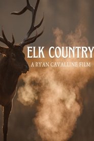 Elk Country (2025)